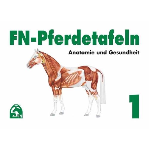 Anatomie und Gesundheit / FN-Pferdetafeln 1