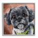 Stupell Industries Black Shih Tzu Dog Portrait Framed On Wood by Lindsay Kivi Fine Art Painting Wood in Brown/Gray | 17 H x 17 W x 1.5 D in | Wayfair