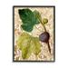 Stupell Industries Ornate Produce Fig Plant Pattern Framed On Wood by Lil' Rue Graphic Art Wood in Brown/Green | 30 H x 24 W x 1.5 D in | Wayfair