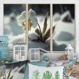 Latitude Run® A Blooming White Orchid Flower in Winter I - 3 Piece Print Set on Canvas Metal in Brown/White | 32 H x 48 W x 1 D in | Wayfair