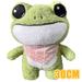 11.8 Inches Plush Toy Cute Green Frog Plush Pillow with Sweater Clothes and Backpack Standing Stuffed Animal Frog Gift for Kids Adults Creative Decoration