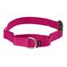 PetSafe Martingale Collar with Quick Snap Buckle