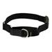 PetSafe Martingale Collar Medium Black 1 inch Collar