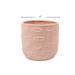 Abdoul Dakota Fields Modern Decorative Pot Planter Ceramic | 4.49 H x 4.92 W x 4.92 D in | Wayfair 51C9E50EC4714ED68B63D35267C54A2C