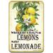 When Life Gives You Lemons Make Lemonade Iron Poster Painting Tin Sign Vintage Wall Decor for Cafe Bar Pub Home Beer Decoration Crafts