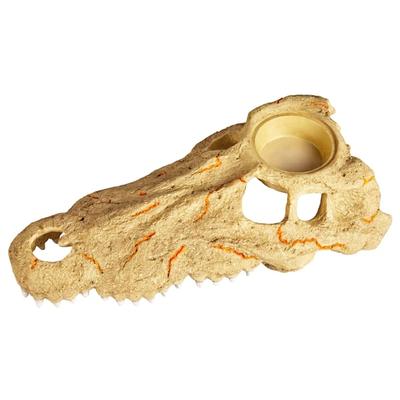 Zilla Rapid Sense Decor Large Crocodile Skull with Feeding Cup