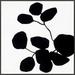 Joss & Main Modern Botanical 5 by Lee Lessem Print Canvas in Black/White | 24 H x 24 W x 1.38 D in | Wayfair 4BA65D1E2ACB4F8B9A858BD77D8721A0