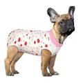 ASENKU Dog Recovery Suit Recovery Suit for Dogs After Surgery Dog Spay Surgical Suit for Female Dogs Dog Onesie Body Suit for Surgery Male Substitute Dog E-Collar Cone Black