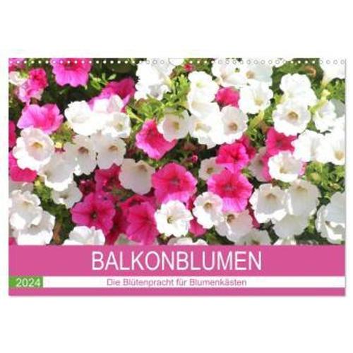 Balkonblumen. Die Blütenpracht Für Blumenkästen (Wandkalender 2024 Din A3 Quer), Calvendo Monatskalender