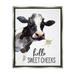 Stupell Industries Hello Sweet Cheeks Country Cow Cattle Holding Flower Graphic Art Luster Gray Floating Framed Canvas Print Wall Art Design by Lettered and Lined