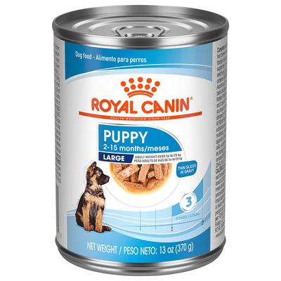 Royal Canin Size Health Nutrition Large Thin Slices in Gravy Wet Puppy Food, 13 oz., Case of 12, 12 X 13 OZ