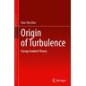 Origin of Turbulence - Hua-Shu Dou