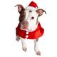 Pet Krewe Christmas Santa Dog Costume - Large Hat and Collar Set for Xmas Holiday Fun! - Perfect for Halloween Parties Photoshoots Gifts for Dog Lovers