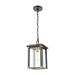 Rectangular One Light Outdoor Hanging Lantern Ceiling Light with Brass Accents Exposed Bulb Outdoor Pendant Light Bailey Street Home 2499-Bel-3353895