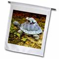 A garden turtle statue with a frog riding its back 18 x 27 inch Garden Flag fl-165299-2