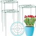 Dream Lifestyle Plant Support Stakes Round 18 x 12 Inch Plant Stakes/Plant Cages with 3 Pcs Legs for Gardens and Flowers Plant Brace Flower Support Rings Grow Through Hoops