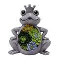 GENEMA Solar Garden Statue Frog Ornament with Succulent 4 LED Lights Outdoor Lawn Decor Garden Frog figurine for Patio Balcony Yard