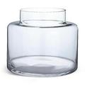 Habitat Clear Vase