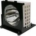 Electrified DNGO E-Series Replacement Lamp