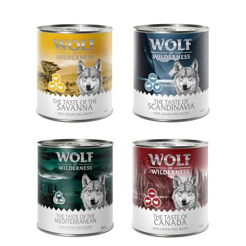 24 x 800g The Taste Of Mix Wolf of Wilderness Hundefutter nass