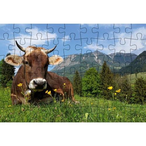 Puzzle-Postkarte Allgäu, Motiv: Kuh auf Wiese - Gmeiner-Verlag