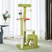 Archie & Oscar™ 50.8" Gorlest Cat Tree Manufactured Wood in Brown/Green | 50.8 H x 24.4 W x 18.9 D in | Wayfair 3FF4FA42A32747C2A11E14419134C9AD