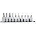 Draper Expert 16309 Draper Tx-Star® Socket Bit Set 3/8in Sq. Dr. 48Mm (10 Piece) per set