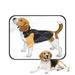 ECZJNT Sketch Dog Beagle Breed Pet Dog Cat Bed Pee Pads Mat Cushion Potty Dogsblankets Crate Bed Kennel 36x48 inch