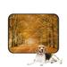 PKQWTM Beautiful Autumn Lane In The Forest Pet Dog Cat Bed Pee Pads Mat Cushion Potty Dogs Blankets Crate Bed Kennel 20x24 inch