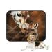 ECZJNT Giraffe Adult And Baby Painting Pet Dog Cat Bed Pee Pads Mat Cushion Potty Dogs Blankets Crate Bed Kennel 14x18 inch