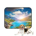 ABPHQTO Piva Canyon Reservoir National Park Europe Beauty World Pet Dog Cat Bed Pee Pads Mat Cushion Potty Dogsblankets Crate Bed Kennel 36x48 inch