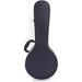 Other Stringed Instruments Glarry Hardshell A-Style Microgroove Pattern Leather Wood Mandolin Case Black