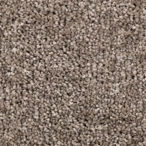 „BODENMEISTER Teppichboden „“Veloursteppich Pegasus““ Teppiche fußbodenheizungsgeeignet, Hochflor Gr. B/L: 650 cm x 400 cm, 10 mm, 1 St., grau (grau beige) Teppichboden“