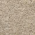 BODENMEISTER Teppichboden "Veloursteppich Pegasus" Teppiche Gr. B/L: 650 cm x 500 cm, 10 mm, 1 St., beige (beige grau) Teppichboden