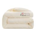 XIUDONG Super Soft Soybean Fiber Quilt Anti Allergy Duvet King Size 7.5 Tog Spring Duvet Double,Autumn Quilt Double Summer Air Conditioning Quilt 200 * 200 CM White (Double)