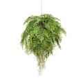 artplants.de Artificial hanging basket with Boston fern NILO, soil ball, roots, 3ft/100cm, Ø31"/80cm - Artificial trailing plant