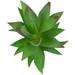 Need Pack Of 2 Artificial Succulents Unpotted Small Fake Plants Realistic Textured Mini Fake Succulent Picks Premium Crafting DIY Floral DÃ©cor (Agave)