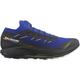 Salomon Herren Pulsar Trail Pro 2 Schuhe (Größe 44.5, blau)