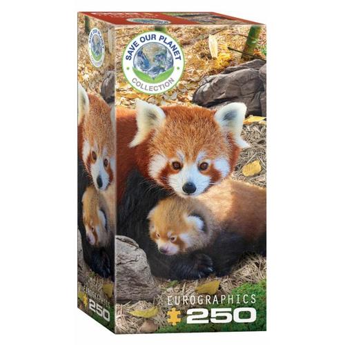 Eurographics 8251-5557 - Rote Pandas , Puzzle, 250 Teile - Eurographics