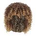 QUYUON Curly Wigs for Black Women Clearance Hair Replacement Wigs Short Wigs for Black Women Long Hair Hair Type Q722 Wigs for White Women Wigs Woman Synthetic Wig for Daily Party Use Wigs