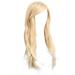 QUYUON Synthetic Wig for Daily Party Use Clearance Hair Replacement Wigs Shoulder Length Fashion Wigs Flat Hair Type Q191 Women Wigs Full Wigs Woman Short Brown Wigs for Women Gold Wigs