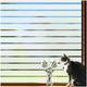 Viseeko Window Privacy Film: Frosted Glass Window Film Window Cling Privacy Film Door Window Covering Day and Night Privacy Window Film Heat Blocking Decorative Window Film for Home Office
