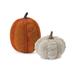 The Holiday Aisle® Woven Sweater Design Pumpkin Set of 2 Resin | 8.25 H x 6 W x 6 D in | Wayfair EE76EBF539DC4CAB875FB9CC75B190C8