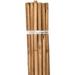 Plant Stakes Natural Bamboo 2 Foot 25 Stakes