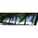 Panoramic Images Palm trees on the beach Aitutaki Cook Islands Poster Print by Panoramic Images - 36 x 12