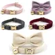 Personalized Cat Collar Velvet ID Engraving Name Tag Collar for Cat Necklace Puppy Kitten Bell Bow