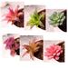 Fake succulent 6 Pcs Simulated Succulent Plant Ornament Fake Plant Landscape Decors Ornaments for Home Office Garden Supplies