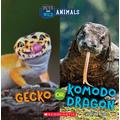 Wild World: Gecko or Komodo Dragon (paperback) - by Brenna Maloney