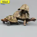 New Simulation Turtle Figurine Ornaments Wild Animal Sea Turtle Tortoise Action Figures Home Office