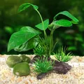 Brindilles de bois flotté artificielles pour décor d'aquarium plante en plastique décorations de